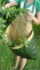 Pruning Bag