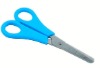 Pruning Garden Scissor