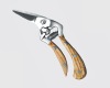 Pruning Shear