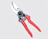 Pruning Shear