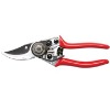 Pruning Shear