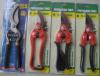 Pruning Shear
