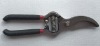 Pruning Shear