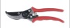 Pruning Shear