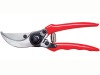 Pruning Shear
