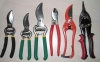 Pruning Shears