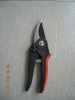 Pruning Shears