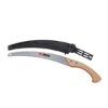 Pruning saw