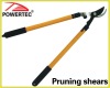 Pruning shear