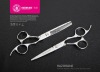 R14 R14T Hair Scissor Set