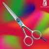R20 Hair Scissor