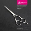 R5 hair thinning shears