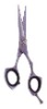 Razor Edge Hair Cutting Scissor