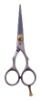 Razor Edge Hair Cutting Scissor