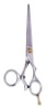 Razor Edge Hair Cutting Scissor