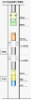 Releasing oil-layer protecting technological tube