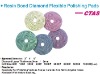 Resin Bond Diamond Flexible Polishing Pads -- CTAS