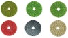 Resin Bonded Flexible Polishing Pad