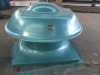Roof Fan with rainproof hat
