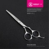SK102S - Flower Whisper Hair shear