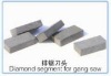 SWS-04 Diamond segment for gang saw