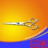 Salon hair scissor