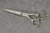 Scissors 2AA-60