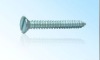 Screws with Slot DIN7973