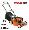 Self Propelled Gasoline Lawn Mower RT-GLW20