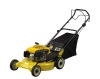 Self-propelled Gasoline Lawn Cropper