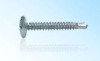 Self-tapping Screw