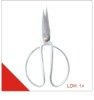 Sharp head household scissors