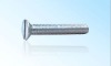Slotted Raised Countersunk (flat) Head Screw
