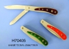 Small pocket knife H70405