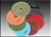 Special Hotsale Polishing Pad