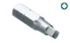 Square Recess screwdriver bit