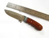 Stainless Steel Camping Knife With Ox Bone And Pakka Handle