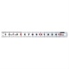 Stainless Steel Ruler