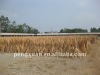 Straight Natural Wooden Mop Handle