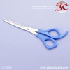 Supply Novelty Design Beauty Hair Scissors