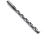 TCT drill bit
