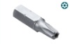 Tamperproof torx screwdriver bit