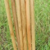 Varnished Wooden Broom sticks 2.2x110
