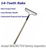Wooden Tool Handle Rake With Factory Price