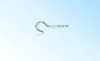 Woold screw with round hook