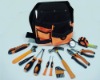 YY-458-035 tool set for lady