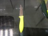 Zirconium tableware paring knife