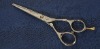 barber scissors 005-55