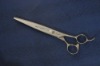 barber scissors BF-850