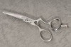 barber scissors XB-55P